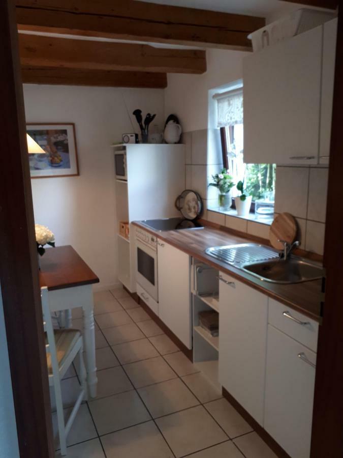 Ferienwohnung Weitblick Wolfshagen  Extérieur photo