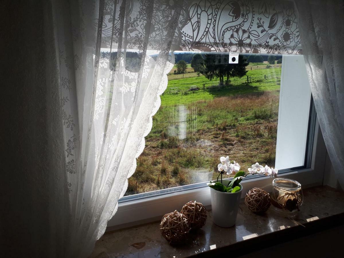 Ferienwohnung Weitblick Wolfshagen  Extérieur photo