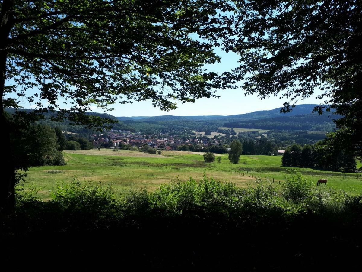 Ferienwohnung Weitblick Wolfshagen  Extérieur photo